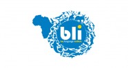 Bay Language Institute Logo